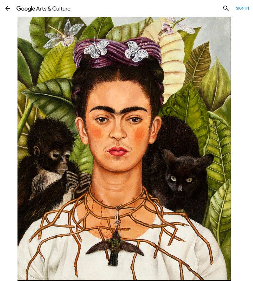 Faces of Frida- Google Arts & Culture